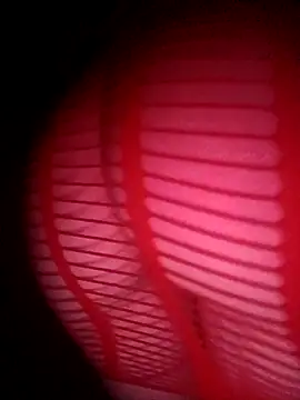 Hottiesophie online show from March 2026 12:54:01 AM