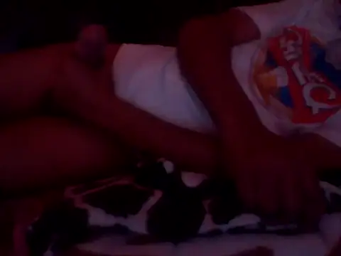 Snapshot of PREDADOR76 chatting on September 2025 09:38:01 AM PREDADOR76 online show from September 2025 09:38:01 AM