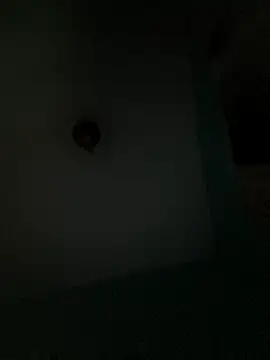 Villageanuty online show from February 2026 01:27:02 AM