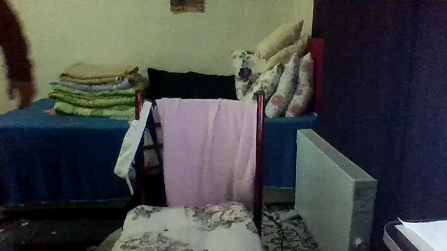 st206boy online show from January 2026 12:25:01 AM