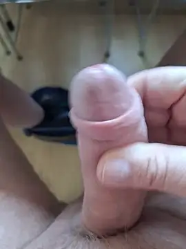 minnetird online show from February 2026 02:57:02 PM