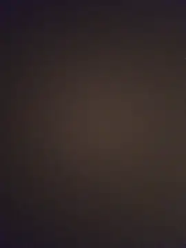 minnetird online show from March 2026 04:01:02 AM