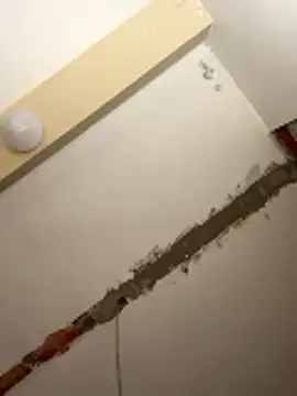 Snapshot of mario231197 chatting on January 2026 06:11:02 PM mario231197 online show from January 2026 06:11:02 PM