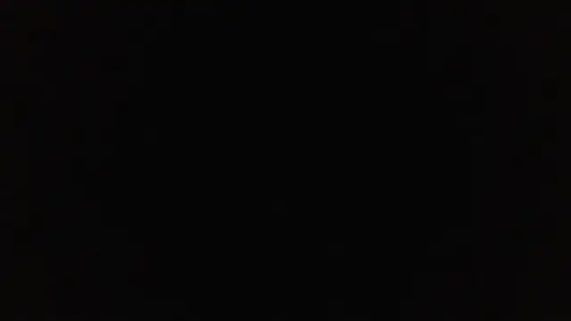 SharkedTaxis online show from March 2026 02:56:02 PM