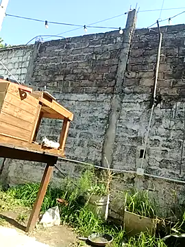 juanpa8453 online show from September 2025 05:24:01 PM