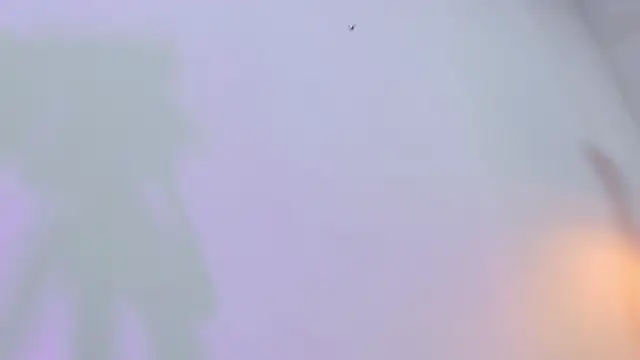 Snapshot of eimy_skinny_ chatting on February 2026 12:49:02 PM eimy skinny online show from February 2026 12:49:02 PM