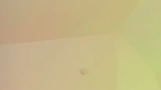 Taylormaxwell online show from November 2025 08:42:01 PM