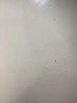 Issa Santana online show from February 2026 07:16:01 PM