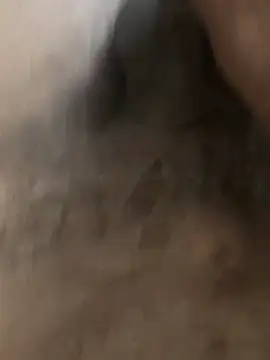 delhi gigolo 5in online show from February 2026 03:50:02 AM