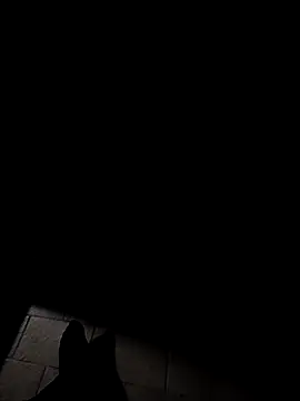 Snapshot of lollipop882 chatting on October 2025 04:06:01 AM lollipop882 online show from October 2025 04:06:01 AM