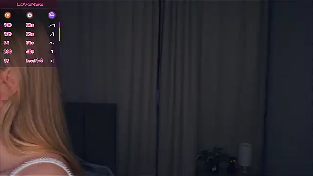 VeronaBench online show from November 2025 06:17:02 AM