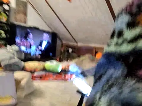 Snapshot of thejuicybacon chatting on November 2025 11:10:02 AM thejuicybacon online show from November 2025 11:10:02 AM