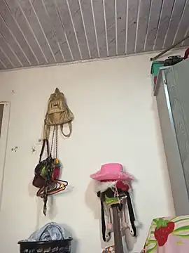 Ada sienn online show from January 2026 02:05:02 AM