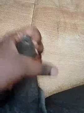 Snapshot of Saikishore00000 chatting on September 2025 08:26:02 AM Saikishore00000 online show from September 2025 08:26:02 AM