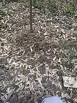 Telugu person12 online show from January 2026 07:36:01 AM