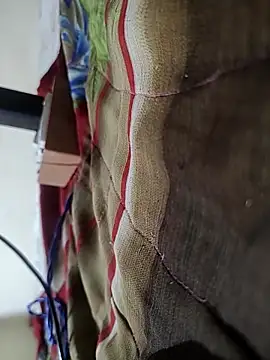 Telugu person12 online show from February 2026 09:02:02 PM