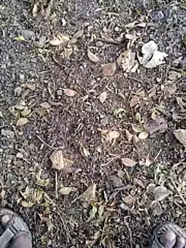 Telugu person12 online show from January 2026 07:56:02 AM