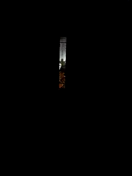 DonTorcuato online show from October 2025 06:21:01 AM