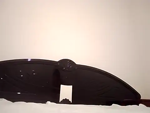 straightozgoesdwn online show from February 2026 08:17:02 PM