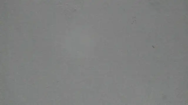 Sophia Ebony online show from February 2026 12:02:01 PM