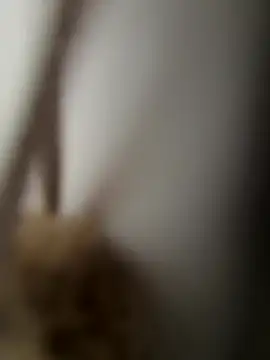 yungdboiy online show from September 2025 03:30:01 PM