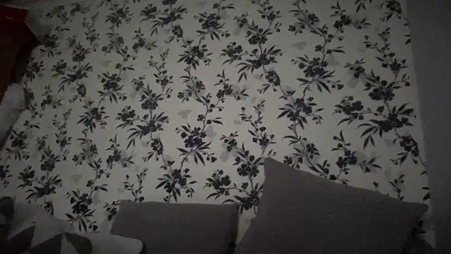 Big8inchUncutCock online show from April 2026 10:00:01 AM