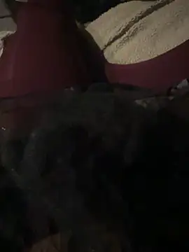 nenad062 online show from December 2025 07:02:02 AM