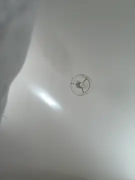 Desire-XOXOX online show from September 2025 10:43:01 AM