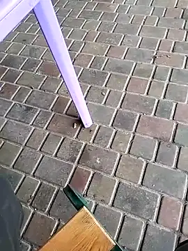 Odecca11 online show from November 2025 08:24:01 AM