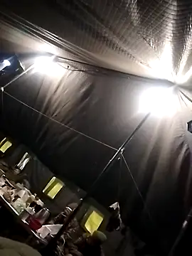 Snapshot of Odecca11 chatting on February 2026 10:35:01 AM Odecca11 online show from February 2026 10:35:01 AM