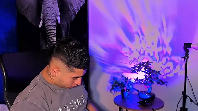 king falconer online show from November 2025 12:48:01 AM