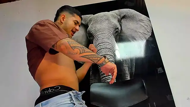 king falconer online show from October 2025 02:54:01 AM