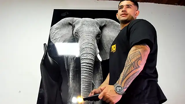 king falconer online show from October 2025 02:08:01 AM