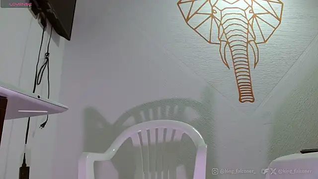 king falconer online show from February 2026 05:04:01 PM