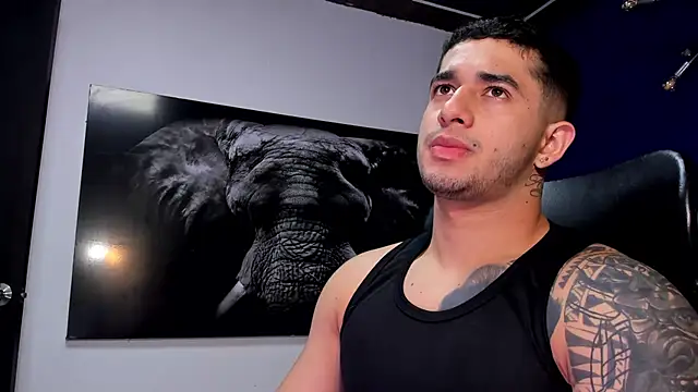 king falconer online show from December 2025 12:48:01 AM