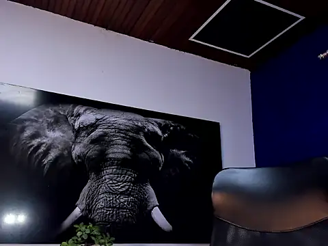 king falconer online show from January 2026 02:15:01 AM