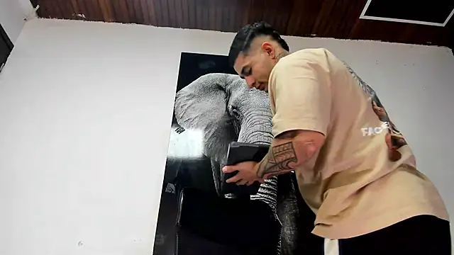 king falconer online show from October 2025 03:49:02 AM