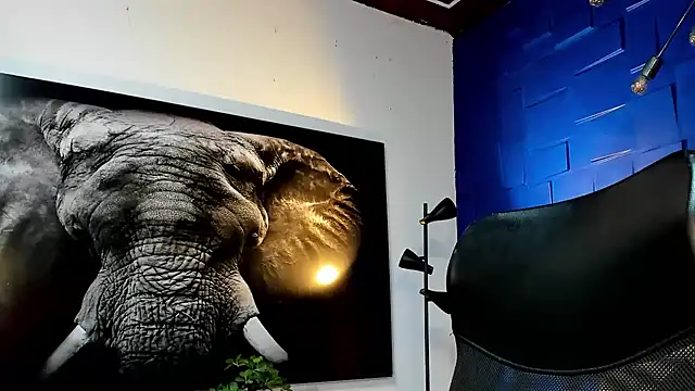 king falconer online show from November 2025 11:16:02 PM