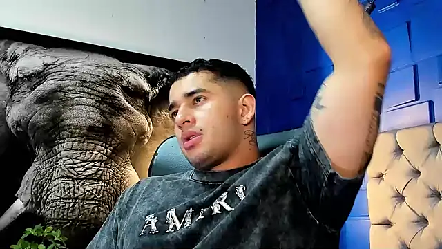 king falconer online show from November 2025 01:28:01 AM