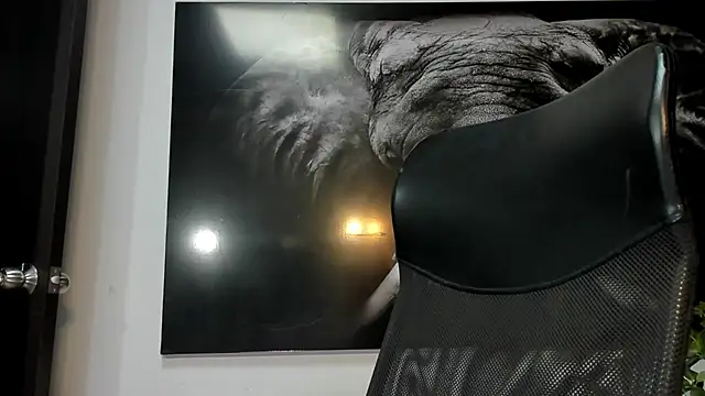 king falconer online show from December 2025 02:10:02 AM