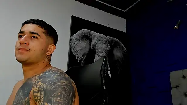 king falconer online show from November 2025 01:32:02 AM