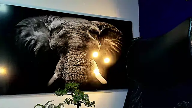 king falconer online show from November 2025 12:55:01 AM