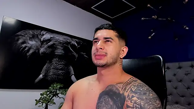 king falconer online show from December 2025 02:25:02 AM