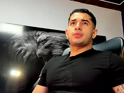 king falconer online show from December 2025 12:55:02 AM