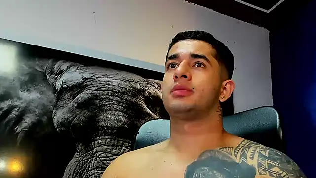 king falconer online show from November 2025 11:22:02 AM