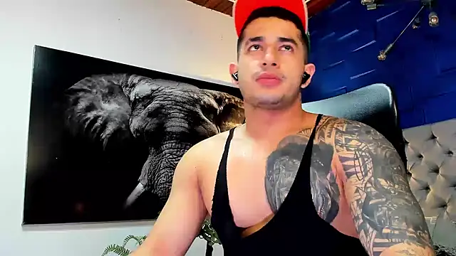 king falconer online show from November 2025 02:12:01 AM