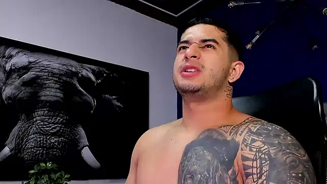 king falconer online show from December 2025 01:11:01 AM