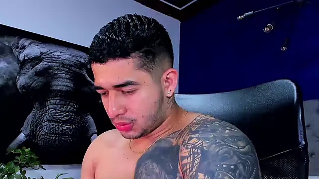 king falconer online show from January 2026 02:15:02 AM