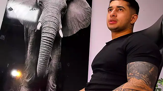 king falconer online show from October 2025 03:18:02 AM