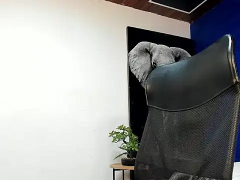 king falconer online show from November 2025 06:05:01 AM